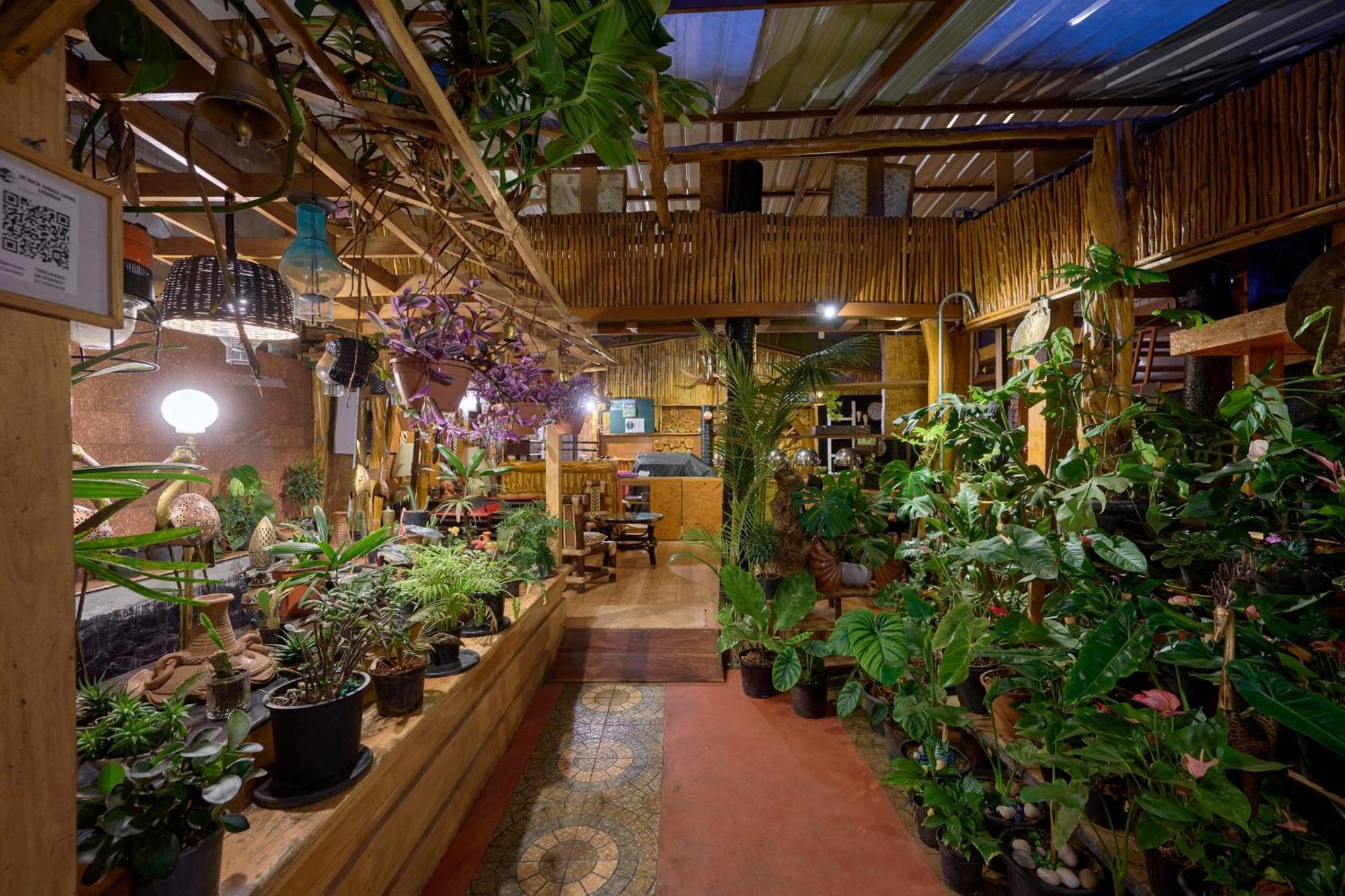 De Rock Jungle Living Resort كونور المظهر الخارجي الصورة